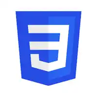 Professional website design and development service