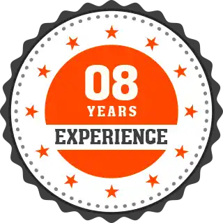 Professional website design and development service