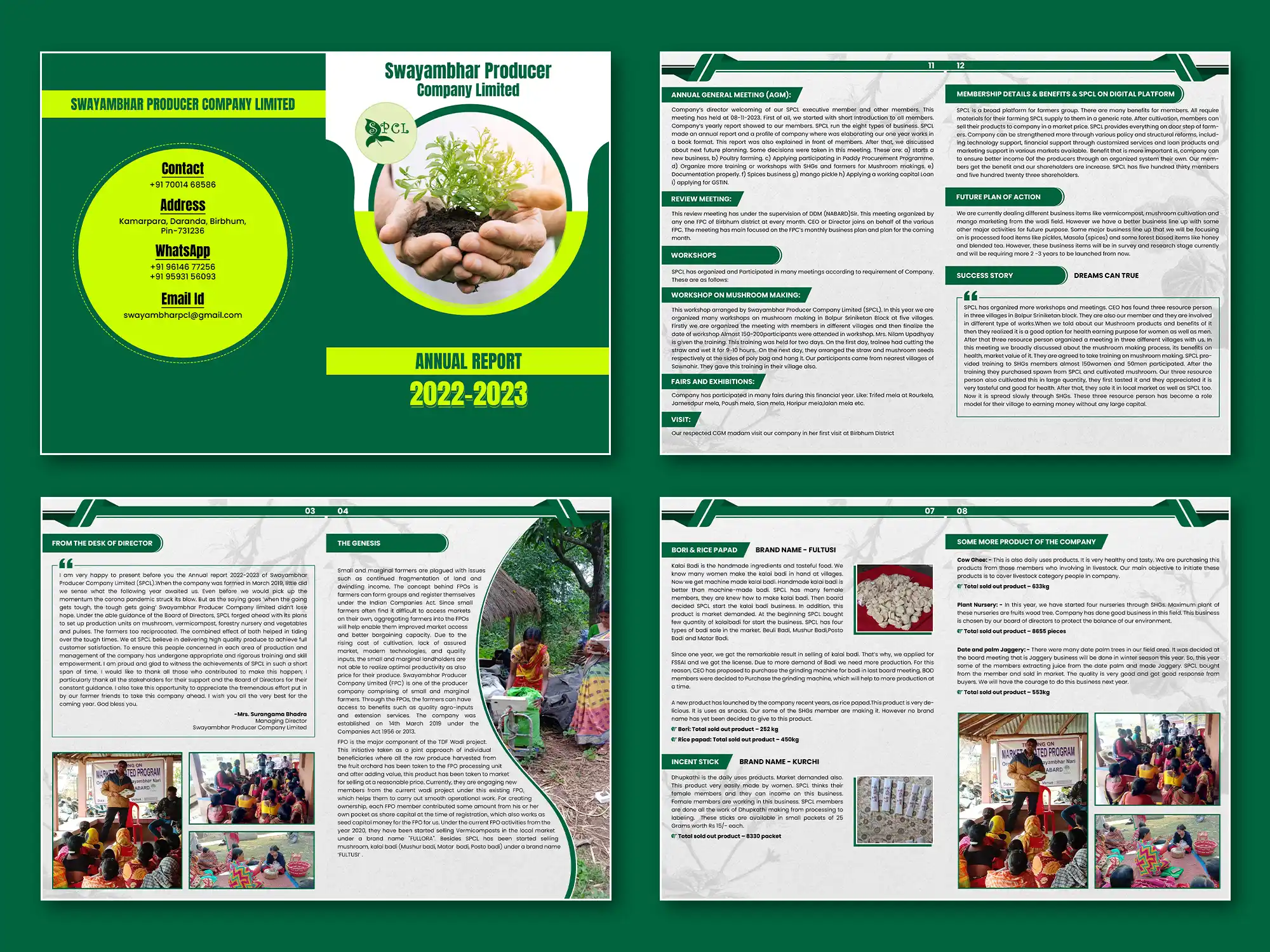 Branding portfolio graphic