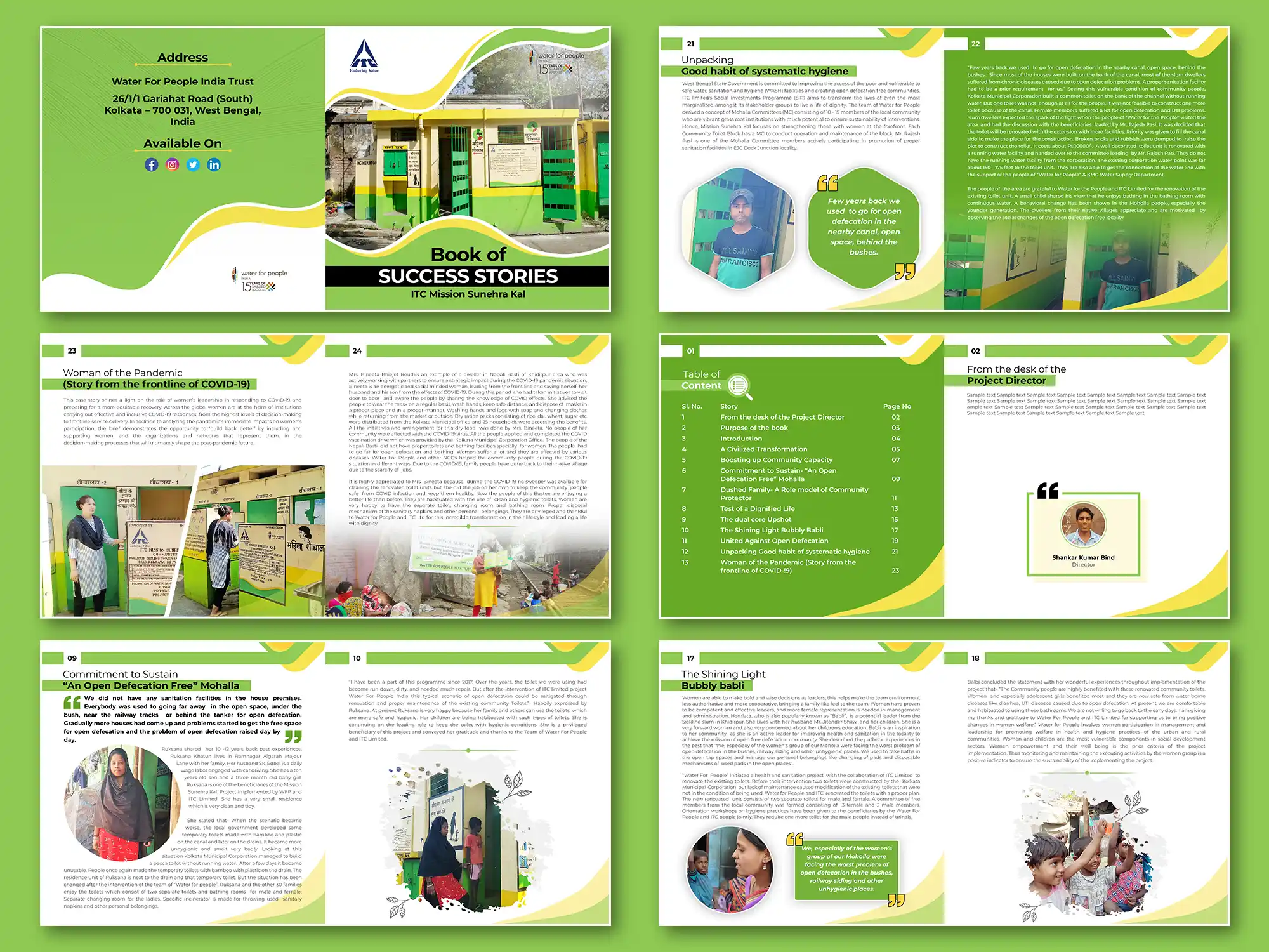 Branding portfolio graphic