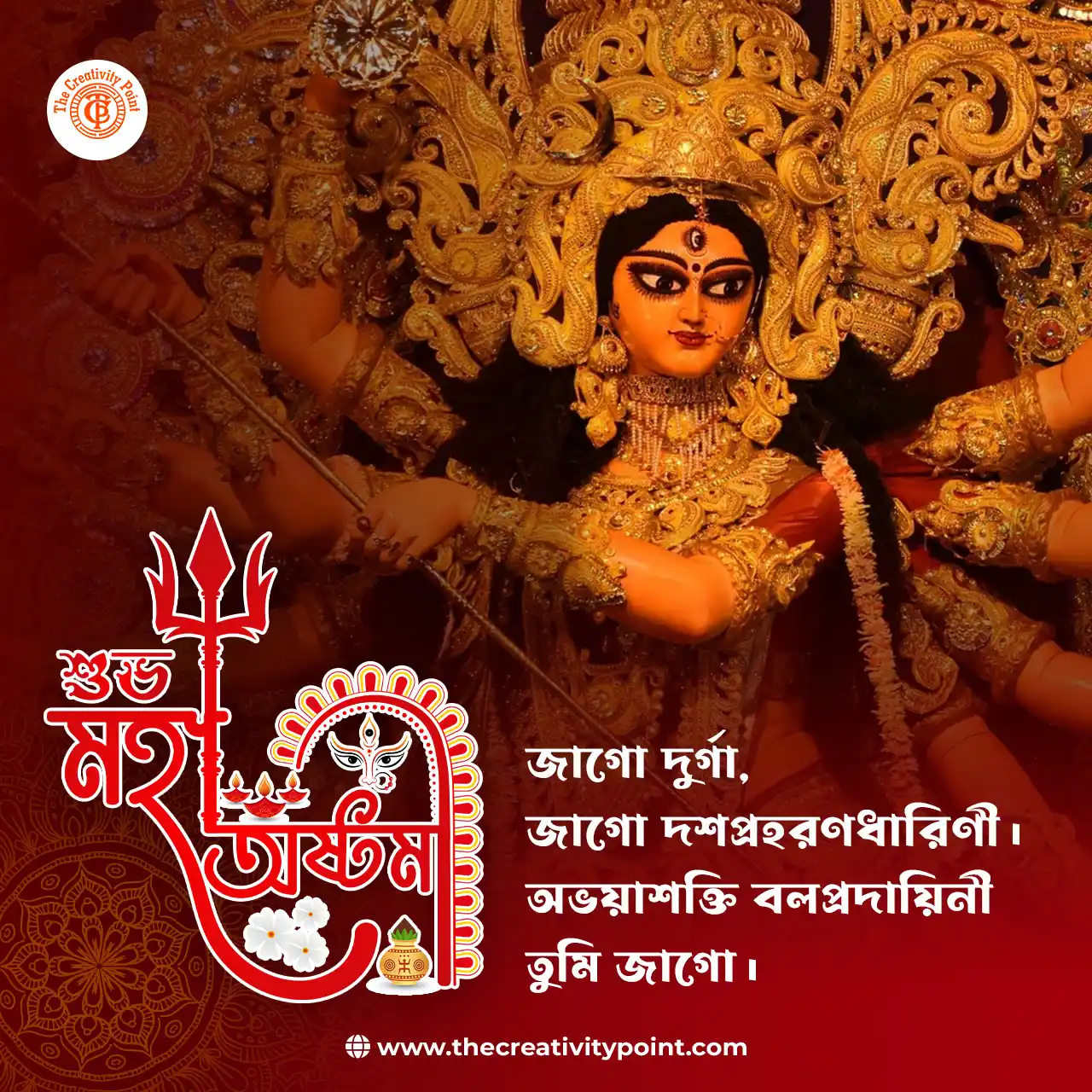 Branding portfolio graphic