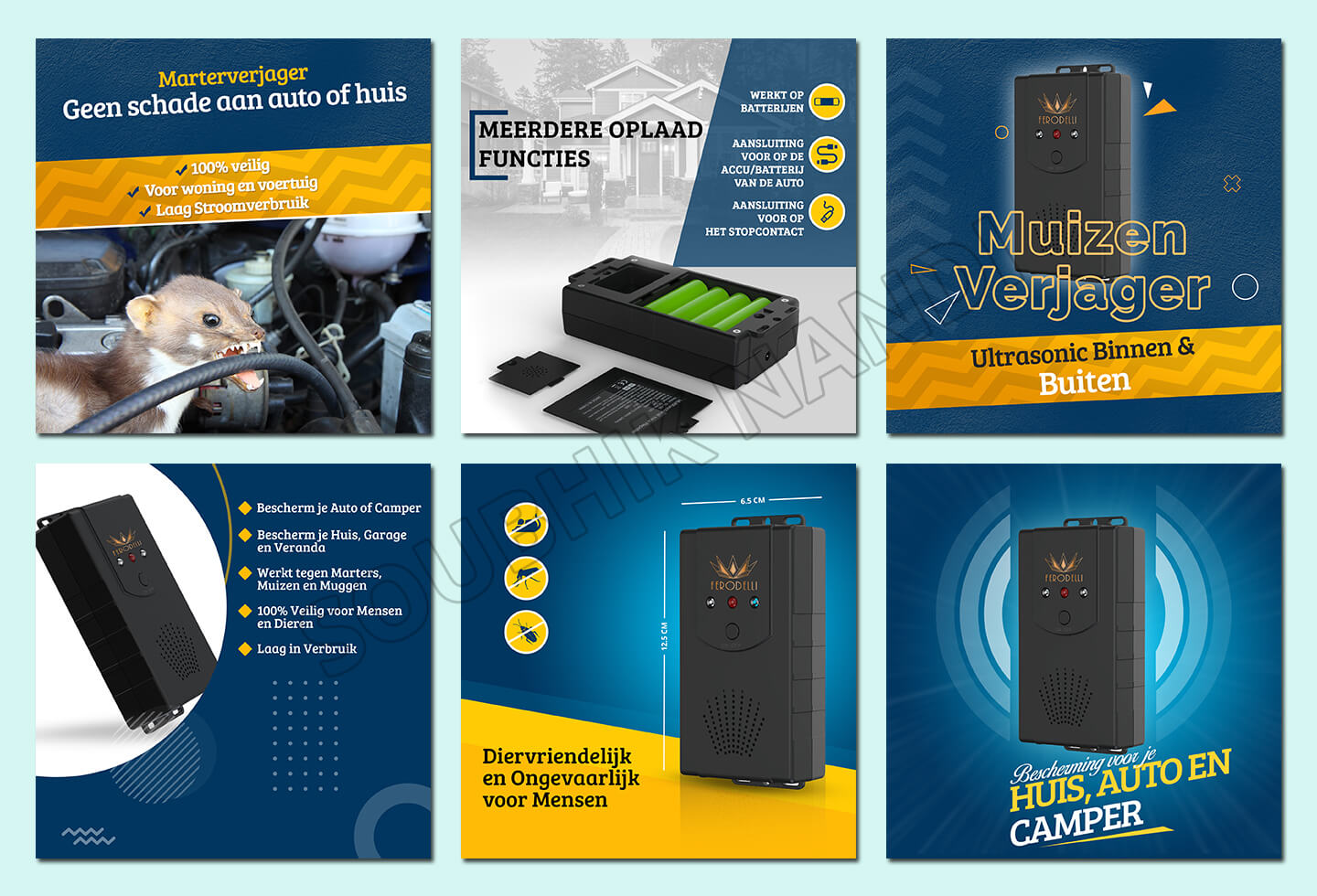 Branding portfolio graphic