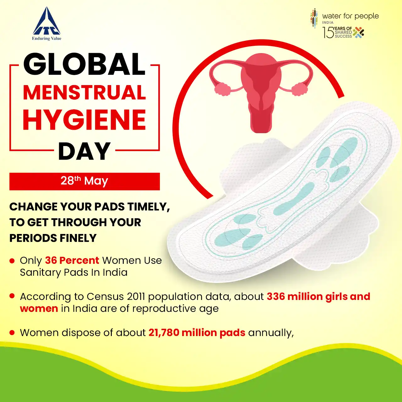 Branding portfolio graphic