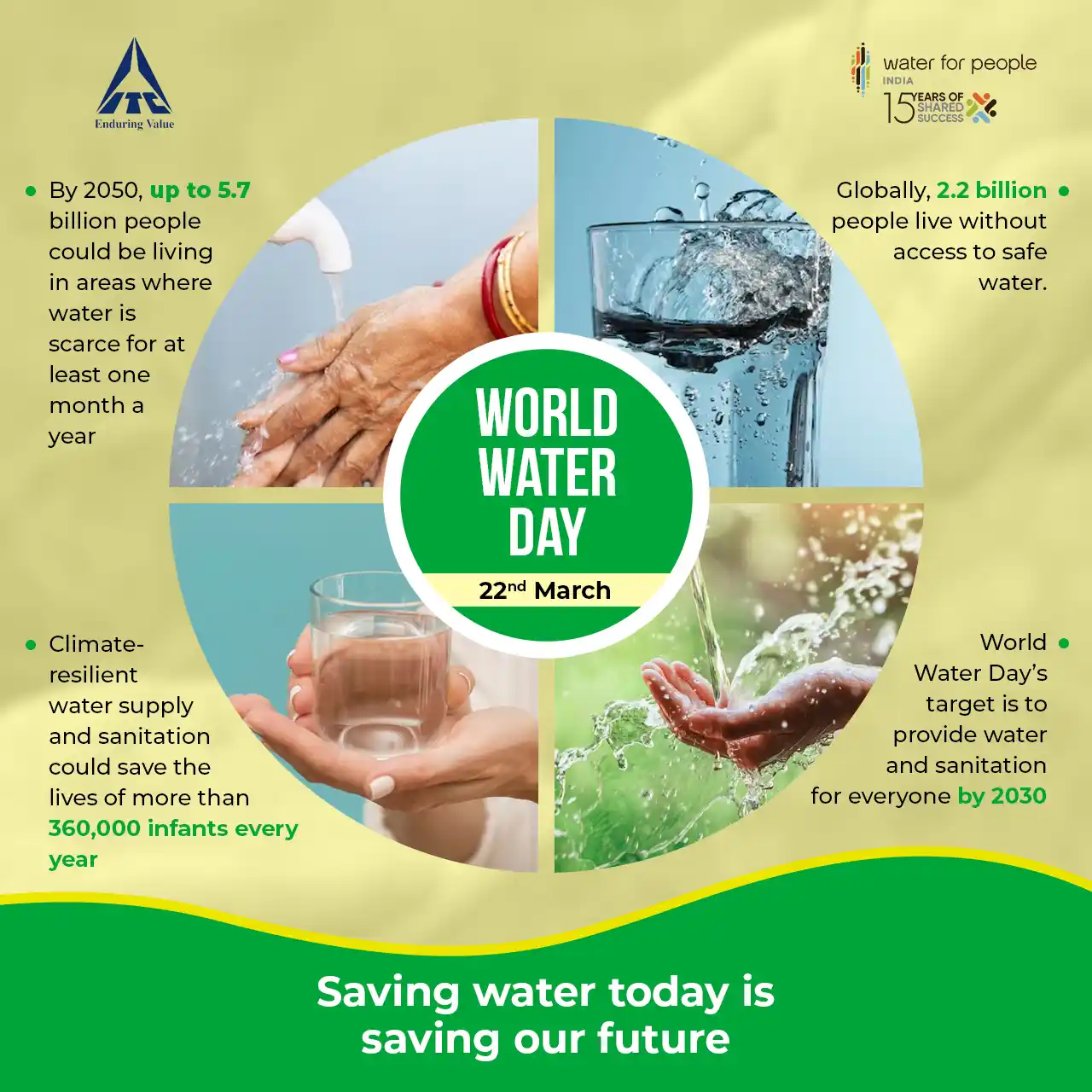 Branding portfolio graphic