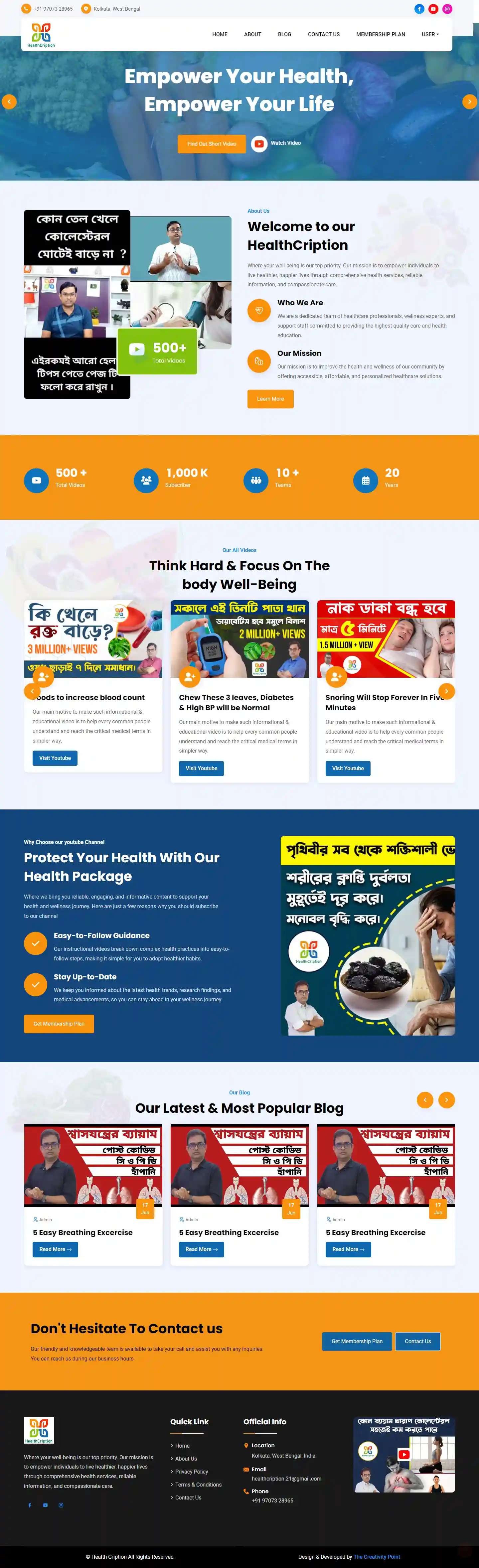 Professional website project showcase