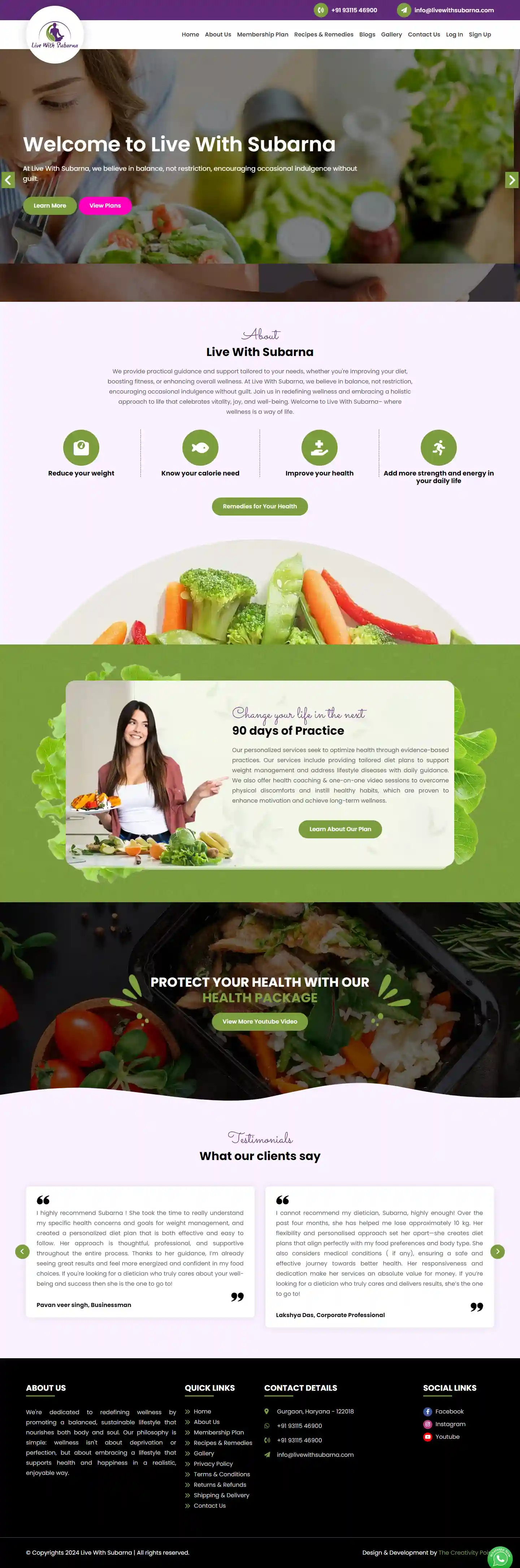 Professional website project showcase