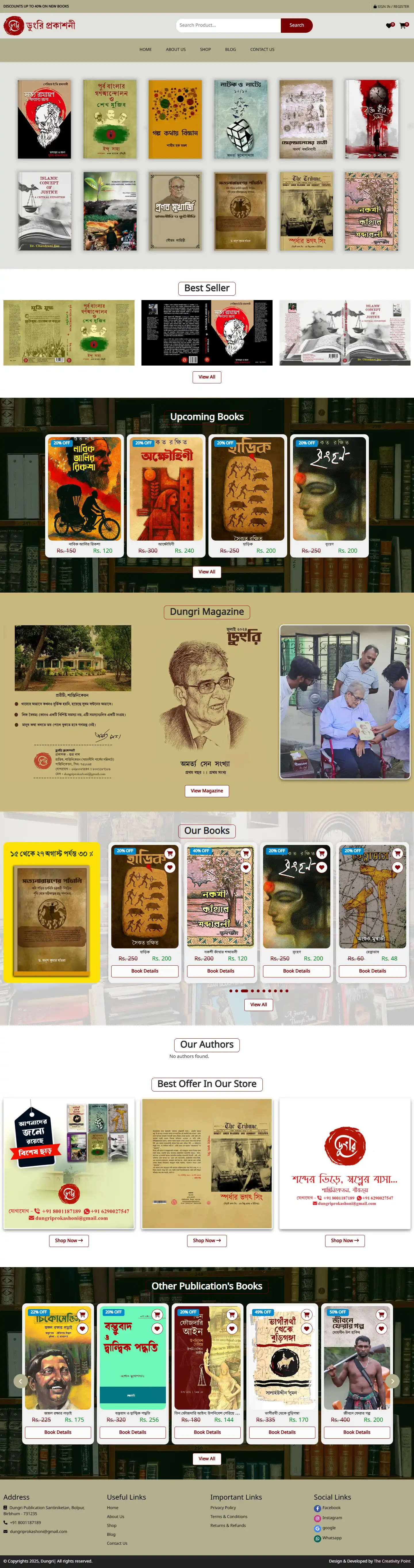 Professional website project showcase