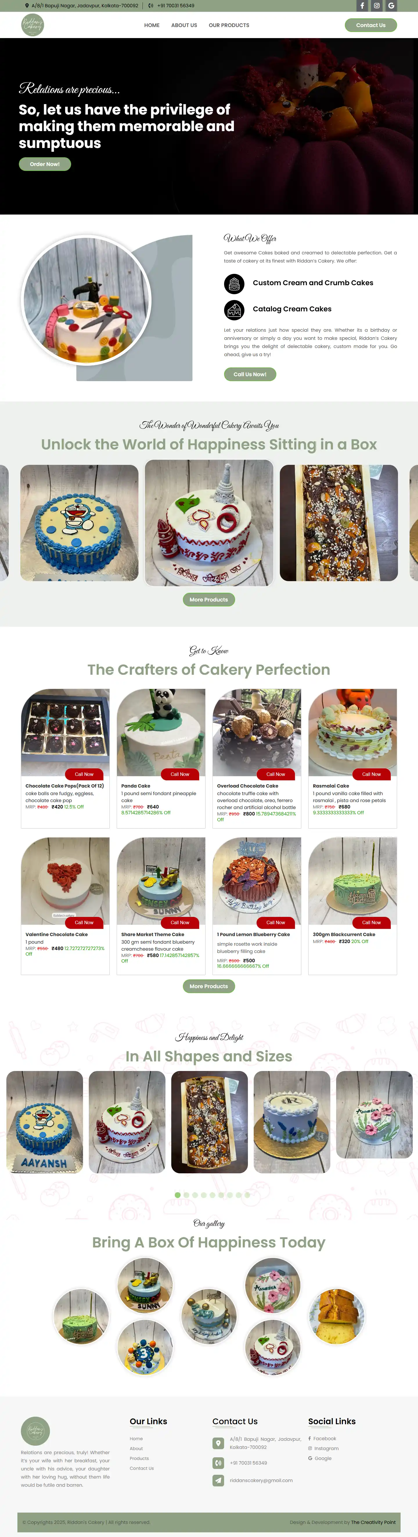 Professional website project showcase