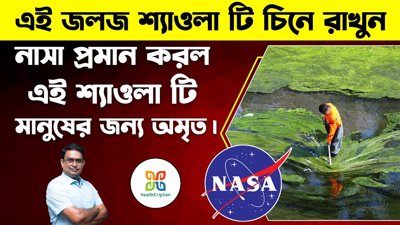 Video editing timeline showcase