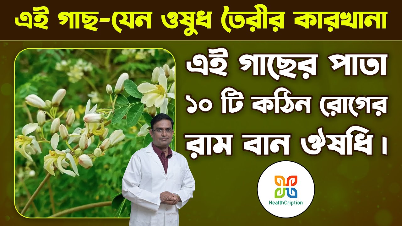 Video editing timeline showcase