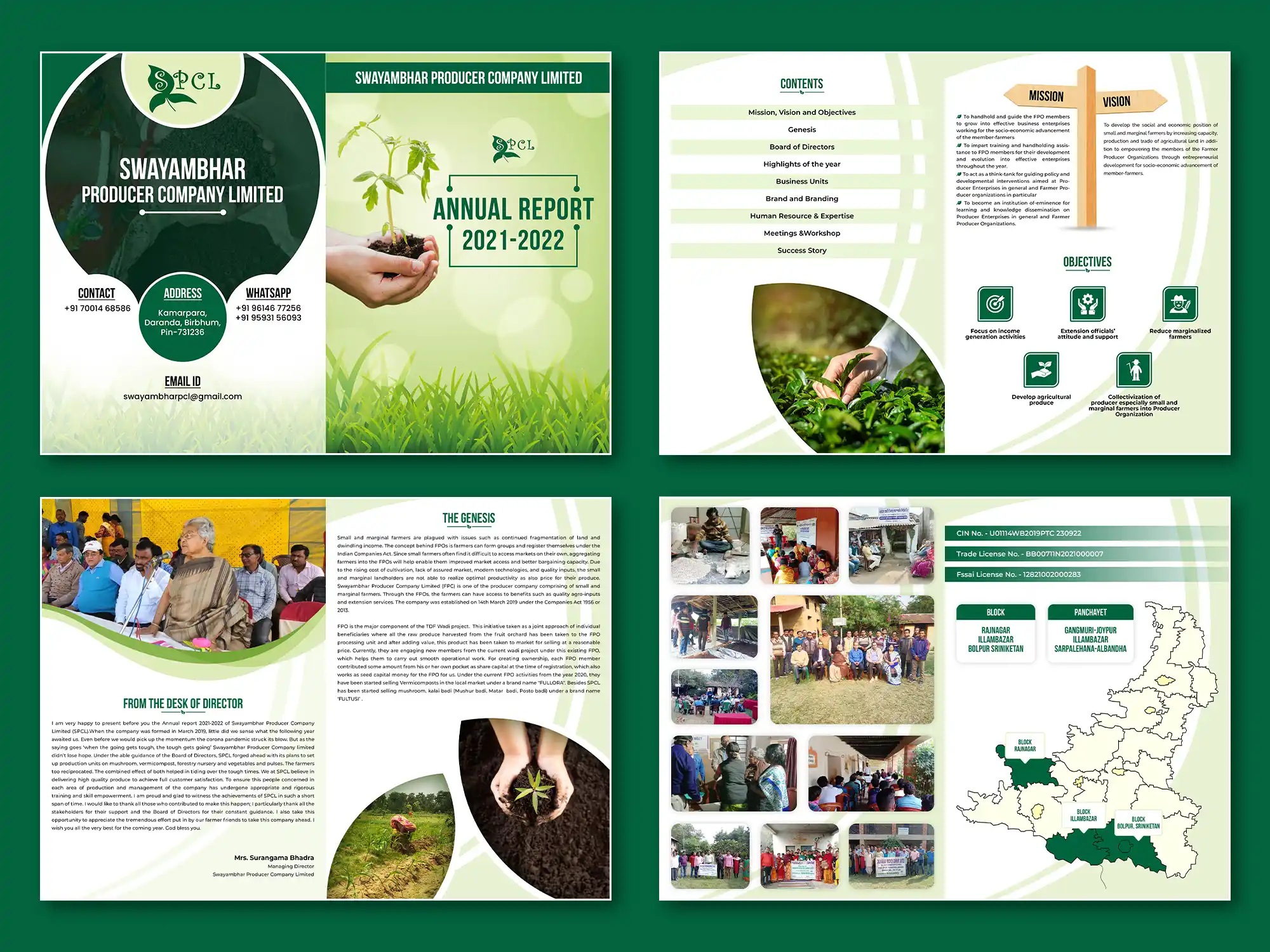 Branding portfolio graphic