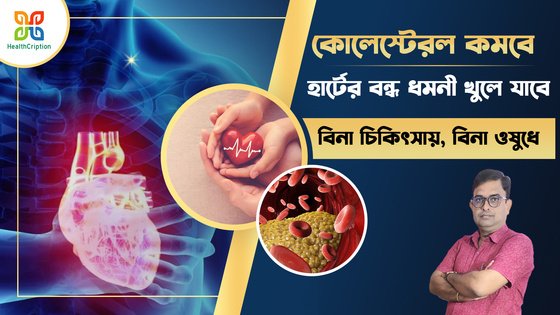 Branding portfolio graphic