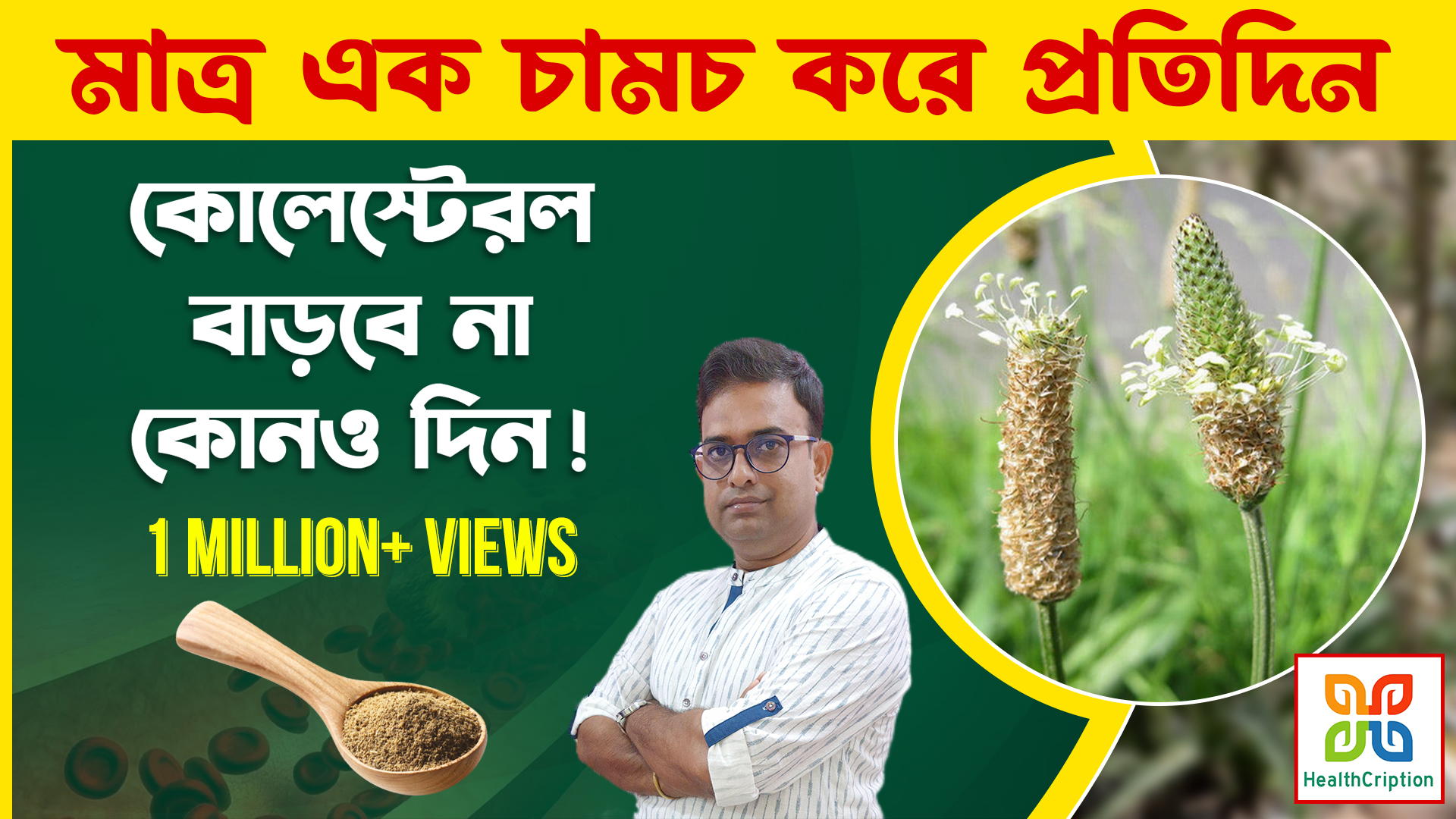 Branding portfolio graphic